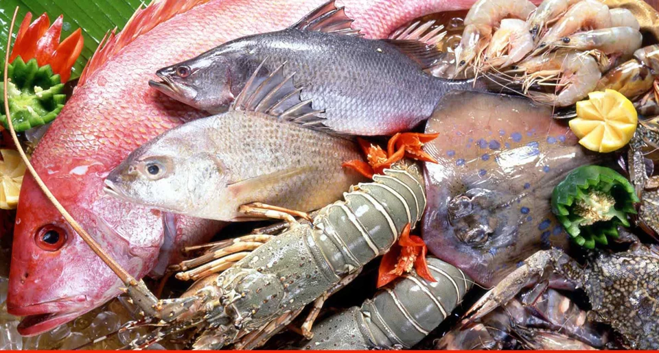 Pakistan's seafood exports record 1.8% growth in FY21